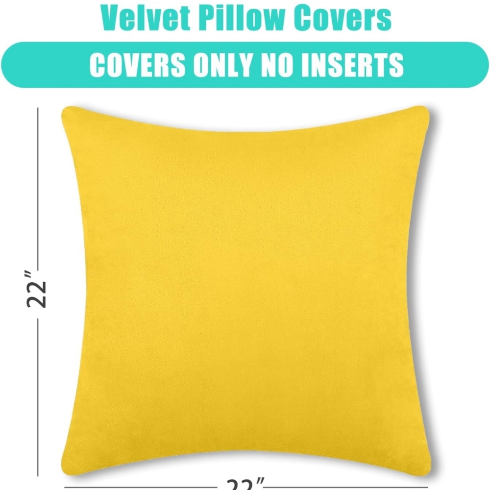 Throw Pillow cover